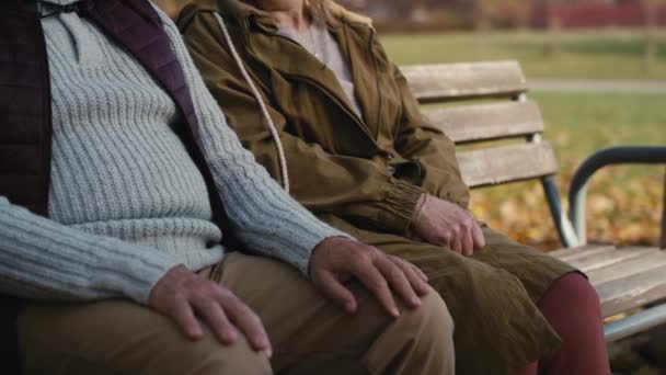 Caucasian Senior Couple Sitting Bench Park Holding Hands Shot Red — Video Stock