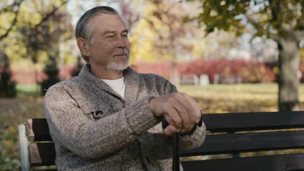 Smiling Old Caucasian Man Sitting Bench Park Autumn Shot Red — Vídeo de Stock