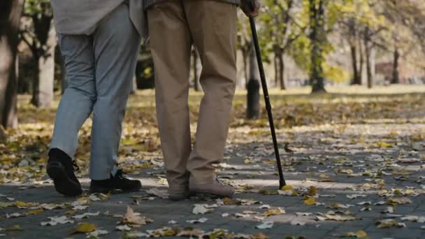 Low Section Senior Couple Walking Together Park Autumn Shot Red — Vídeos de Stock