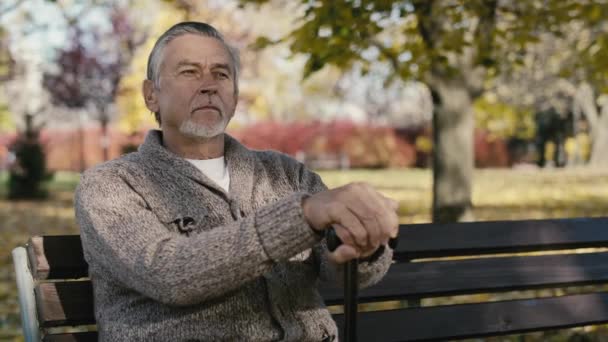 Serious Old Caucasian Man Sitting Bench Park Autumn Shot Red — Vídeos de Stock