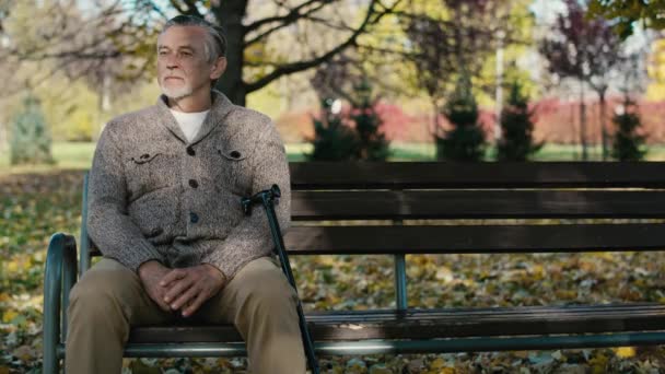 Smiling Old Caucasian Man Sitting Bench Park Autumn Shot Red — Video
