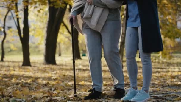 Low Section Female Nurse Helping Senior Woman Walking Park Shot — Vídeo de Stock