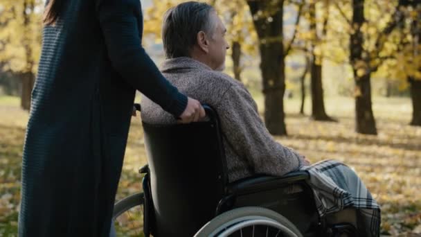 Πρεσβύτερος Κάθεται Αναπηρική Καρέκλα Φροντιστή Στο Πάρκο Πυροβολήθηκε Κόκκινη Κάμερα — Αρχείο Βίντεο