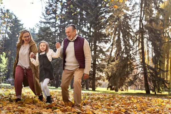 Senior Couple Granddaughter Walking Park Autumn — стоковое фото