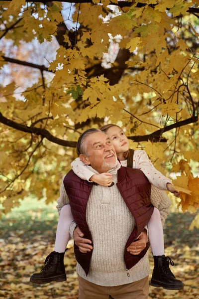 Caucasian Girl Spending Time Grandfather Park Autumn — Stock Fotó