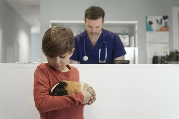 Little Boy Holding Guinea Pig Veterinarian Clinic — Stockfoto