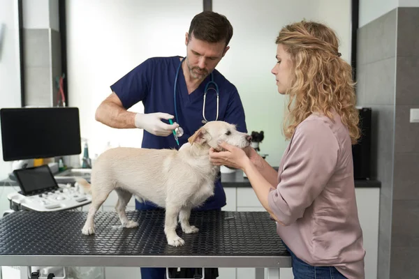 Male Doctor Giving Injection Dog Medical Clinic — ストック写真