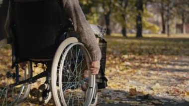 Senior man in a wheelchair on the move in park during the autumn. Shot with RED helium camera in 8K  