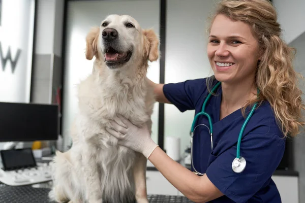 Portrait of female doctor with dog at vet\'s office