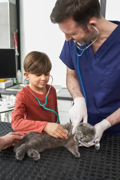 Männlicher Arzt Zeigt Wie Man Katze Untersucht — Stockfoto