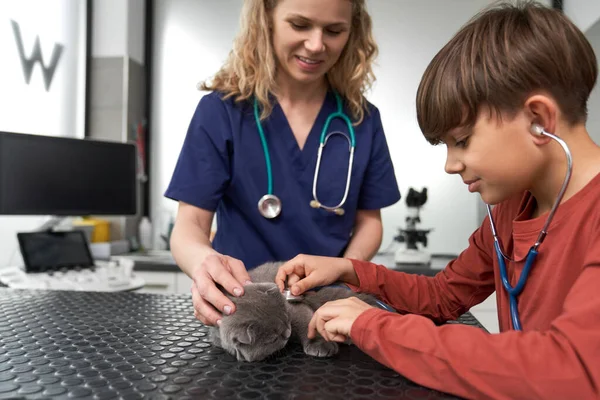 Médico Feminino Mostrando Como Examinar Gato — Fotografia de Stock