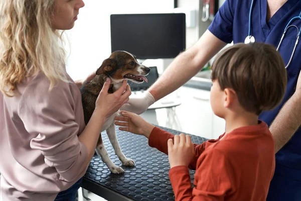 Woman Son Has Visit Doctor Office Dog — Fotografia de Stock