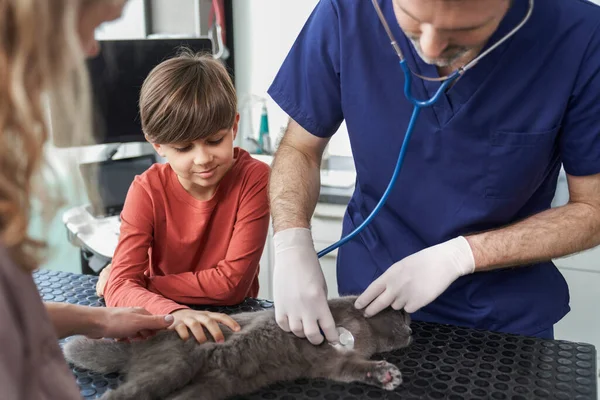 Woman Son Has Visit Doctor Office Cat — Fotografia de Stock