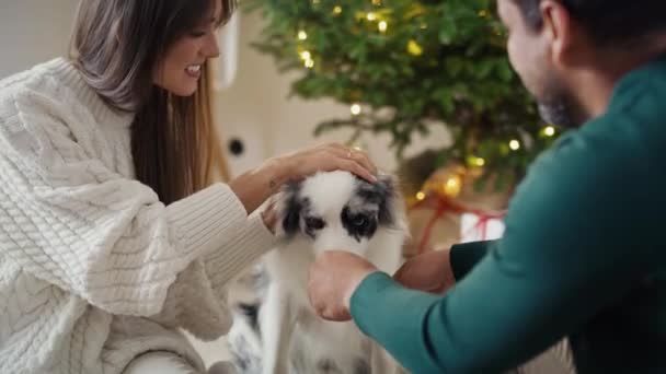 Multi Ethnicity Couple Spending Fantastic Time Dog Christmas Shot Red — Stock Video