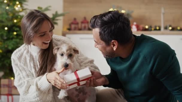 Happy Multi Ethnicity Couple Spending Christmas Time Dog Home Shot — Stock Video