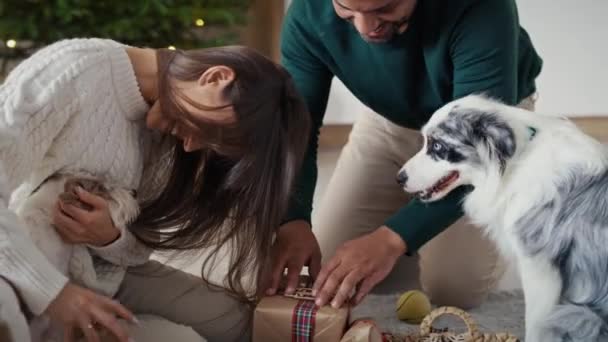 Happy Multi Ethnicity Couple Packing Presents Having Fun Dog Home — Stock Video