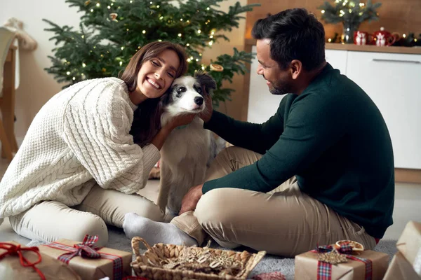 Homem Caucasiano Latino Com Cão Passando Natal Juntos — Fotografia de Stock