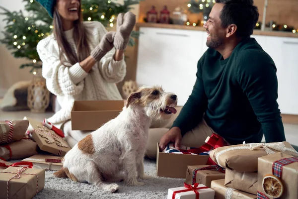 Cão Pequeno Sentado Casa Durante Presentes Natal Abertura — Fotografia de Stock