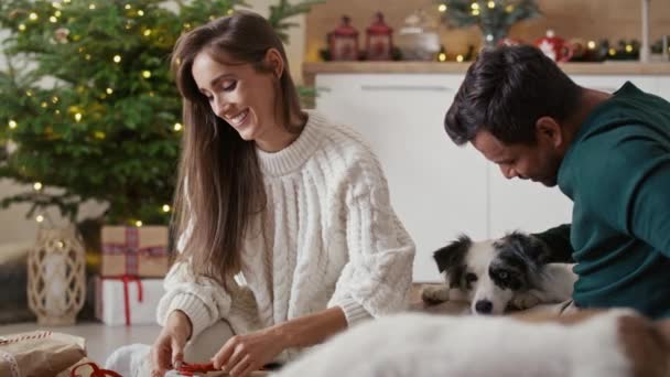 Multi Coppia Etnicità Trascorrere Del Tempo Con Cani Natale Imballaggio — Video Stock