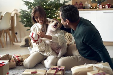 Mutlu etnik kökenli çift Noel 'i evde köpekle geçiriyor. 