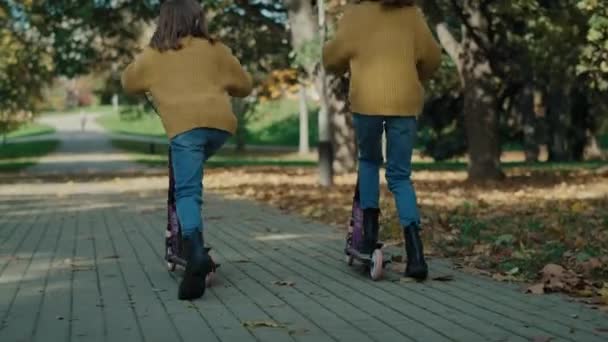 Vue Arrière Frères Sœurs Enfants Caucasiens Amusant Dans Les Bois — Video