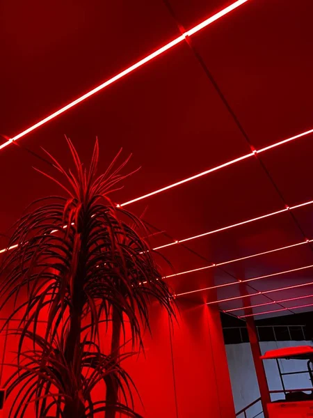 Plan Vertical Recadré Néons Lumineux Dans Couloir Boîte Nuit Rouge — Photo