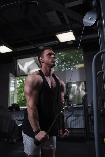 Vertical Shot Ripped Male Athlete Doing Triceps Exercise Cable Crossover — Stock fotografie