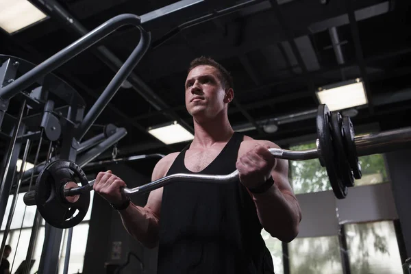 Low Angle Shot Bodybuilder Looking Focused Doing Biceps Curls Curl — Foto de Stock