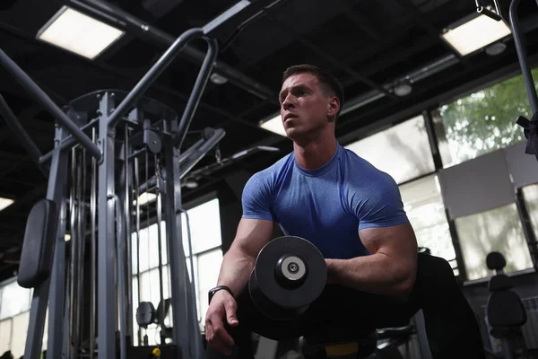 Low Angle Shot Bodybuilder Doing Bicep Curls Dumbbell — Foto de Stock