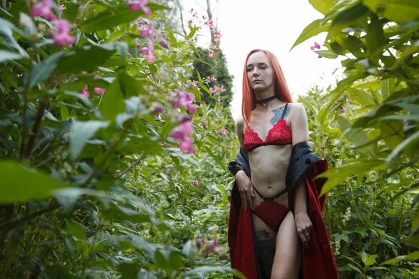 Chica Gótica Sensual Lencería Roja Arnés Cuero Tema Halloween —  Fotos de Stock
