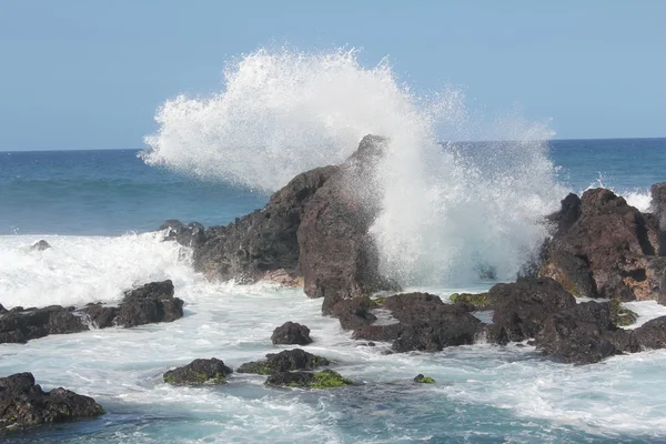 Ho'okipa 飞溅 — 图库照片