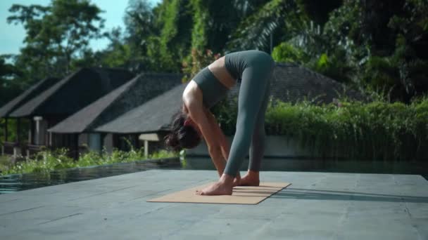 Young Attractive European Brunette Sports Girl Makes Yoga Nature Green — Stockvideo