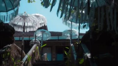 Ormanda duran güneşten kalma eski beyaz bir kumaş şemsiye videosu.