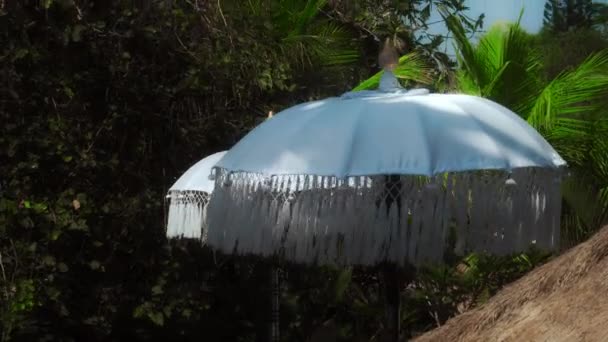 Видео Старого Белого Украшенного Полотна Зонтик Солнца Стоящего Лесу — стоковое видео