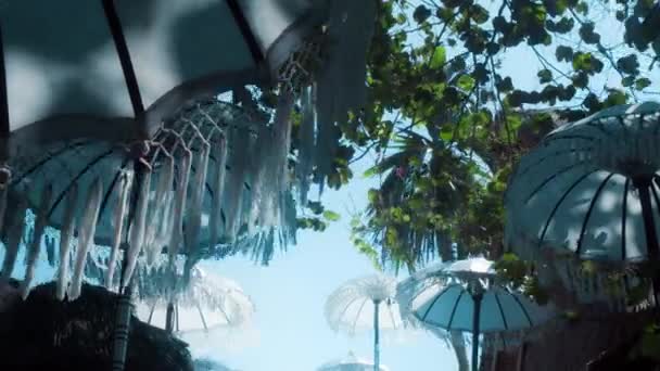 Video Old White Decorated Fabric Umbrella Sun Standing Forest — Stock Video