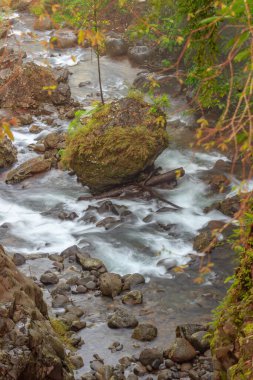 Sarı sonbahar yapraklarının, akan nehrin ve güçlü kayaların manzarası.
