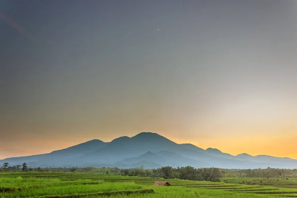 Schöner Morgenblick Mit Morgenhimmel — Stockfoto