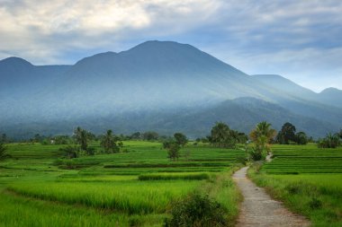 beautiful village scenery on a beautiful morning with clear sky and shining sun