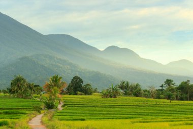 beautiful village scenery in the beautiful morning