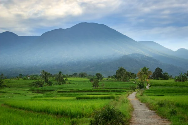 beautiful village scenery on a beautiful morning with clear sky and shining sun