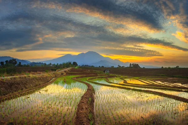 Vista Matutina Del Monte Baris Indonesia — Foto de Stock