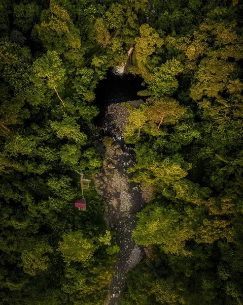 熱帯雨林の真ん中にある滝のパノラマビュー 北ベンクル インドネシア の空中写真 — ストック写真