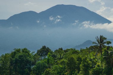 Bengkulu 'nun pirinç tarlaları, Kuzey Asya, Endonezya, güzel renkler ve doğal ışık, açık sabah gökyüzü.