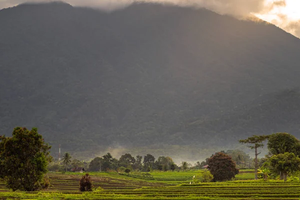 Beauty Foggy Morning Panorama Sunlight Rice Fields Foot Mountain Indonesia — Φωτογραφία Αρχείου