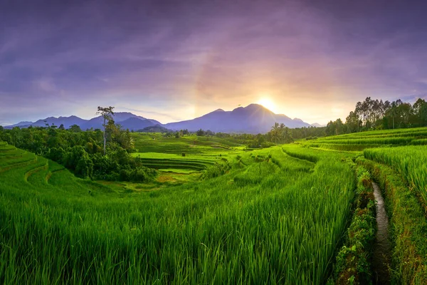 Panorama Mañana Arroz Verde Con Hermosas Terrazas Montañas Cuando Sale — Foto de Stock