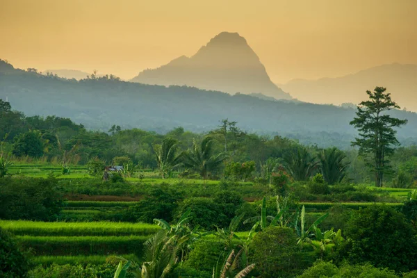 Poranna Panorama Pięknej Małej Wiosce Kemumu Północny Bengkulu Indonezja — Zdjęcie stockowe