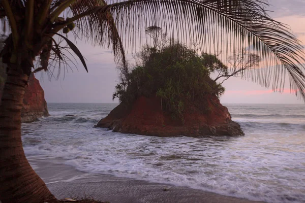 Pantai Bengkulu Dengan Matahari Terbenam Dan Pohon Kelapa — Stok Foto