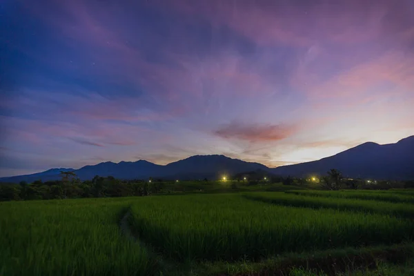 Sabahın Erken Saatlerinde Yeşil Pirinç Tarlalarının Manzarası Güzel Dağ Sıraları — Stok fotoğraf