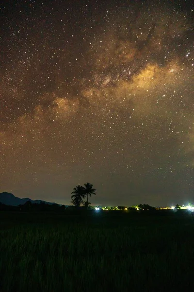 在深山和椰子树上的夜星景观 — 图库照片