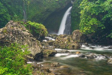 Palak Siring Kemumu Şelalesi Kuzey Bengkulu, Endonezya